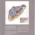 Atlantis Aerospace Corporation Company Brochure